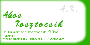 akos kosztocsik business card